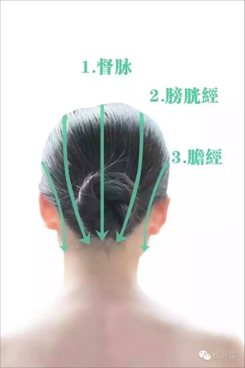 头疗作用